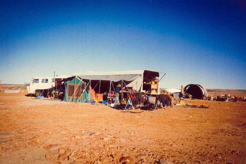 Tents and a large gooseneck in a dry paddock