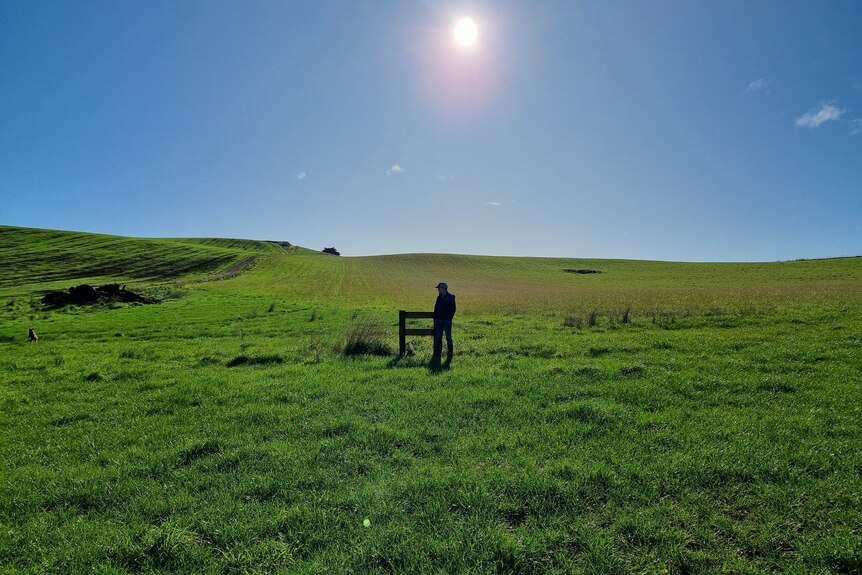A man leans on the farm fence, rolling green grassy hills under a bright blue sky.