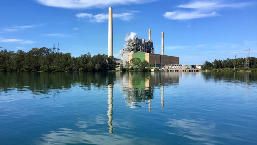 L’EPA de NSW engage une action en justice contre le propriétaire de la centrale électrique de Vales Point, Delta Electricity, pour la mort de poissons en 2022