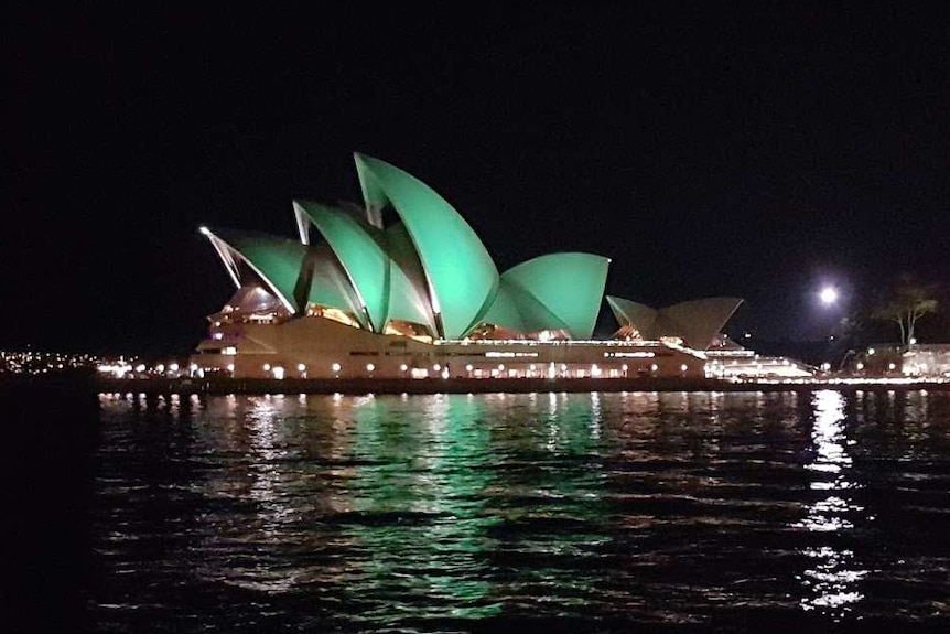 Sydney Opera House bathed in green light for census