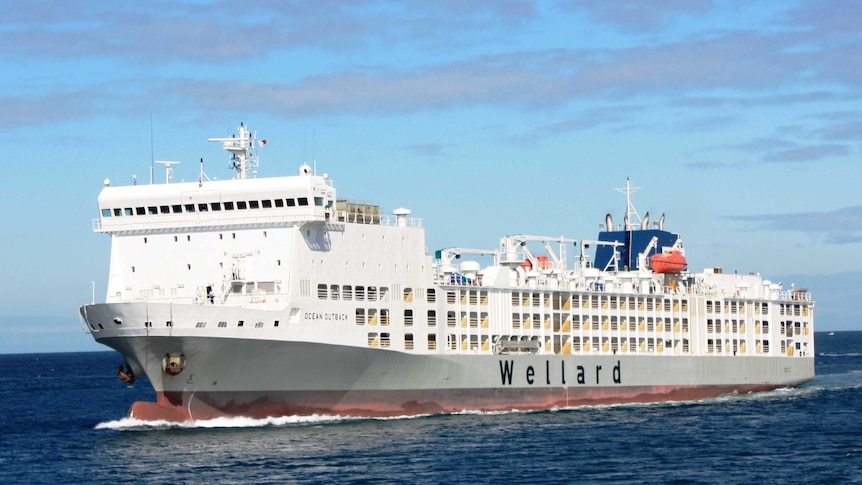 Wellard Rural Exports' livestock ship