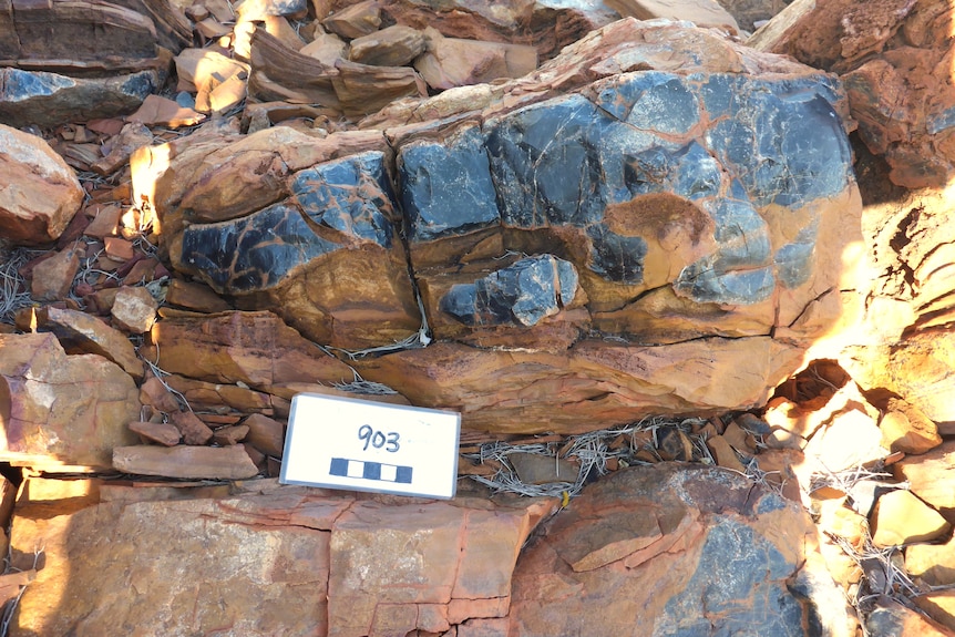 Large brown and black rock in the ground, with a card on it labelled 903.