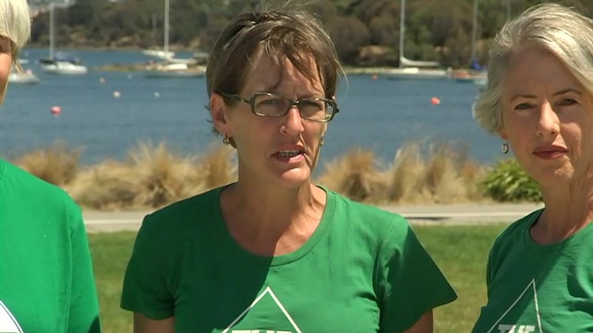 The Tasmanian Greens Declare Themselves For People And Against Corporate Deals Abc News