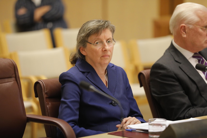 Anne Twomey giving evidence at a parliamentary inquiry
