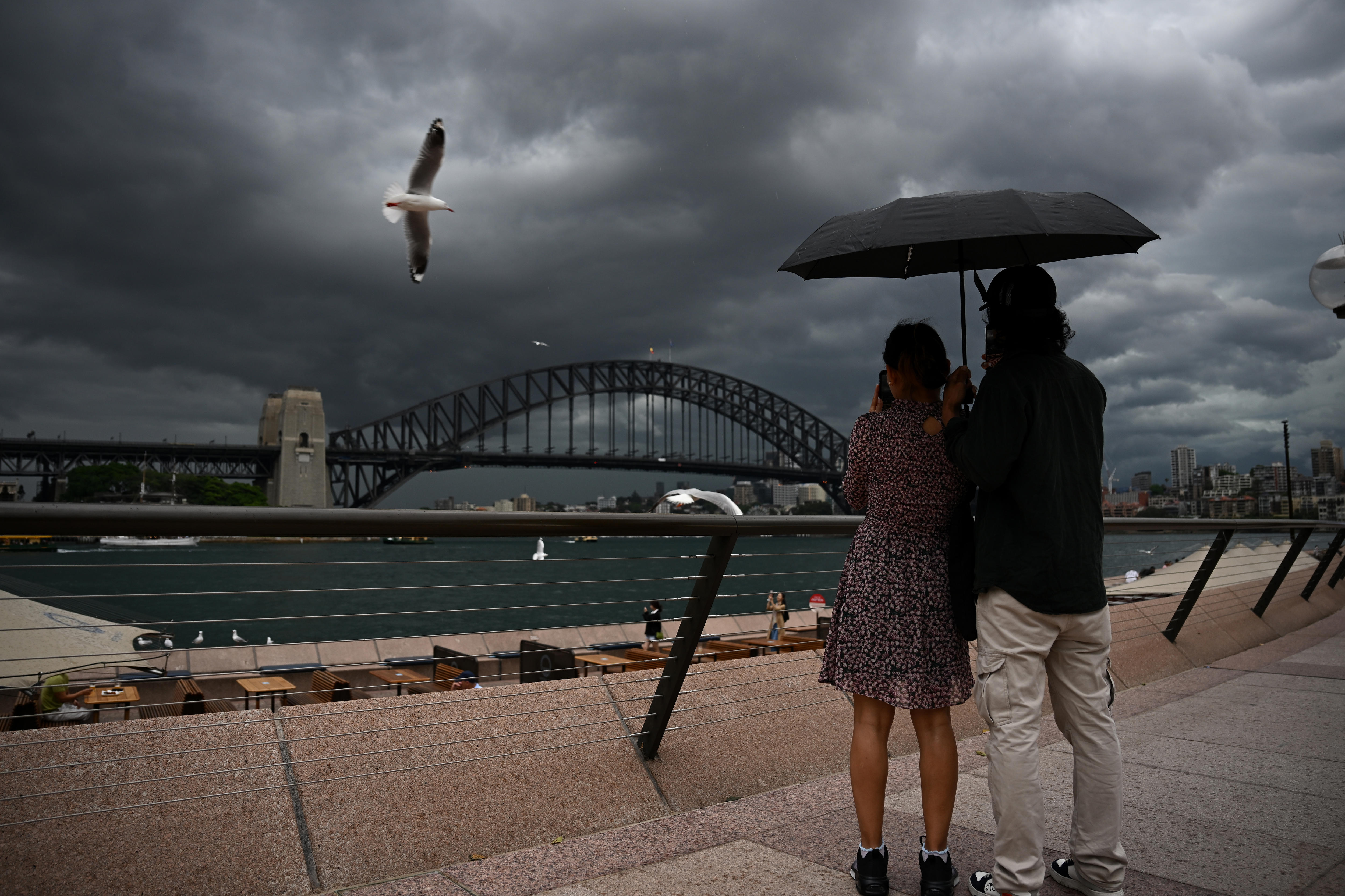a couple stands under an umbrella overlooking the sydney harbour bridge as strom clouds brew