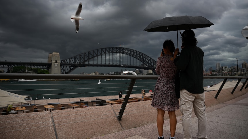 a couple stands under an umbrella overlooking the sydney harbour bridge as strom clouds brew
