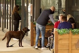 A brown Labrador waits outside a cafe as four diners sit at outdoor tables