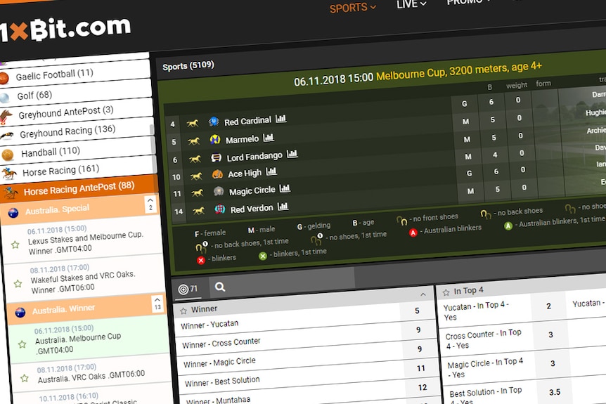 A website displays the heading 1xBit.com and race betting odds.