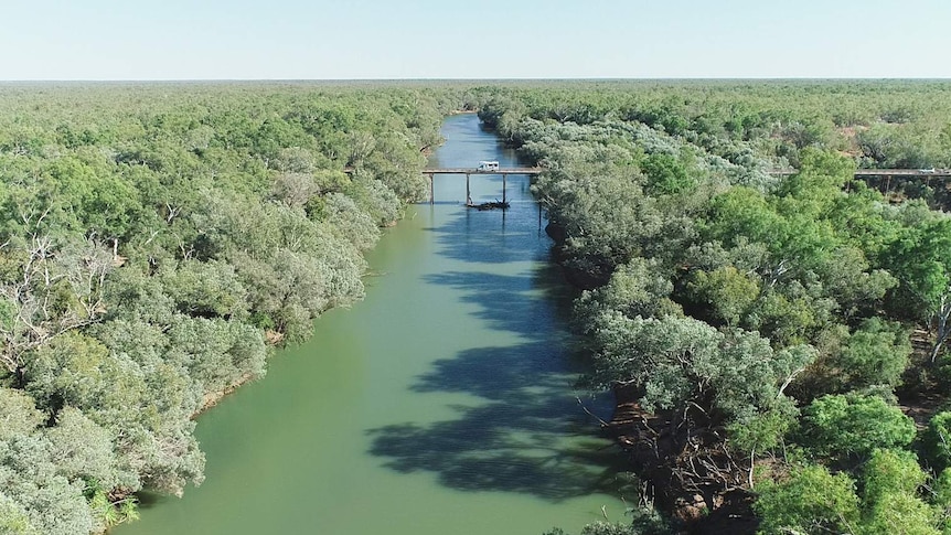 Willare Bridge over the Fitzroy River near Derby