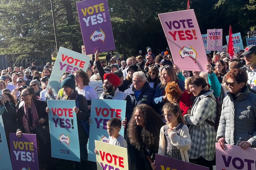 Hundreds gather in Canberra's Haig Park at the Come Together For Yes event, many holding signs