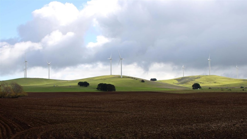 Waubra wind farm