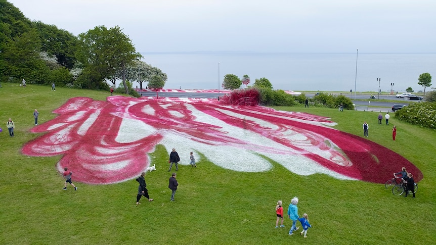 A lawn of grass that has been spray-painted pinks and white.