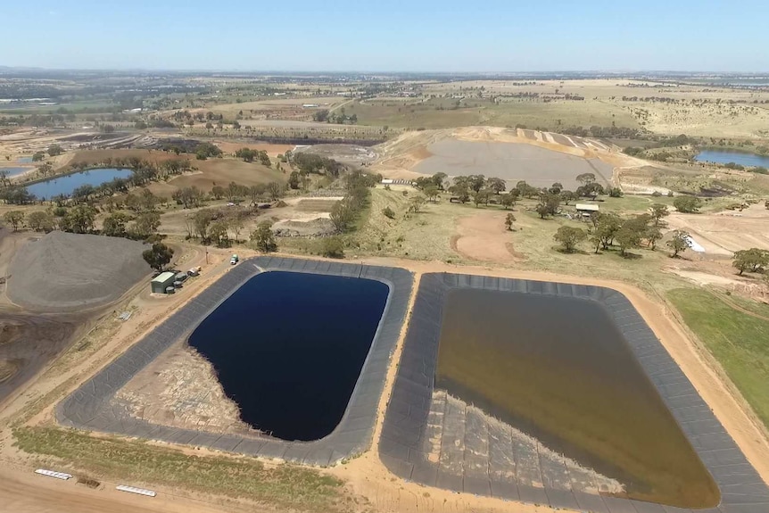 A drone view of a large patch of land.