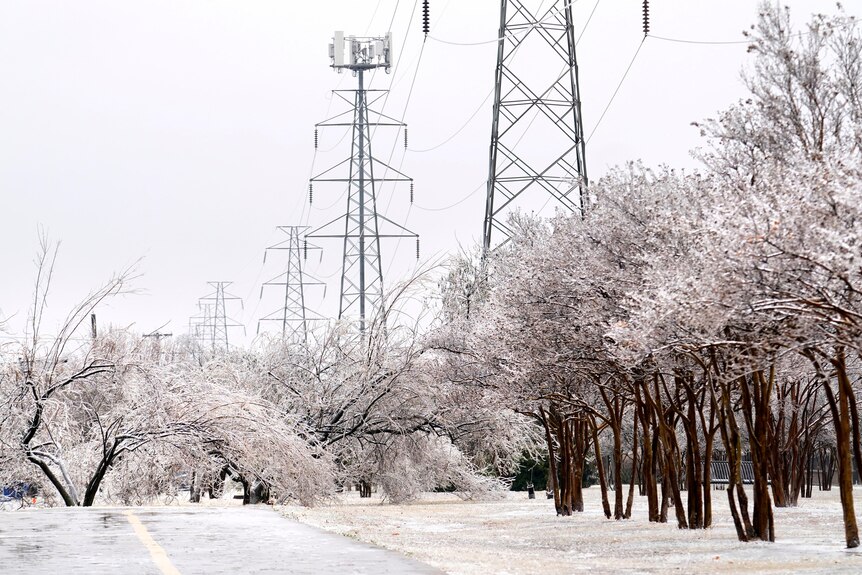 Una hilera de árboles y torres eléctricas cubiertas de nieve.