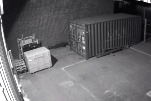 A black and white picture from CCTV footage showing a yard outside  abuilding with a man crawling on the ground near a wall.