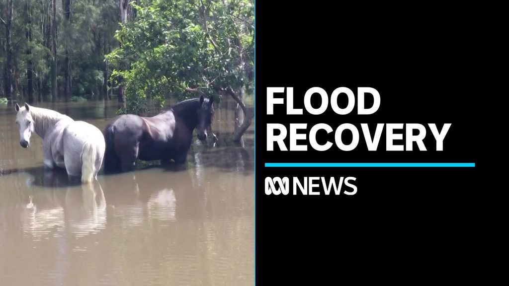 Two months since the mid-north coast floods residents are still ...
