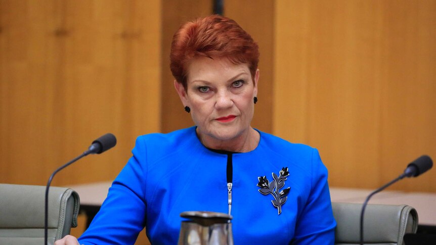 Pauline Hanson sits at a desk in front of a microphone and looks into the camera