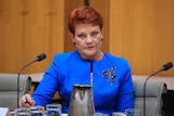 Pauline Hanson sits at a desk in front of a microphone and looks into the camera