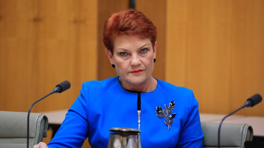 Pauline Hanson ordered to pay former colleague Brian Burston 0,000 over sex abuse allegation
