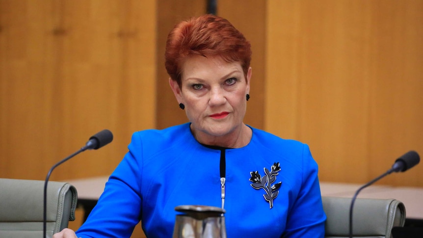 Pauline Hanson sits at a desk in front of a microphone and looks into the camera