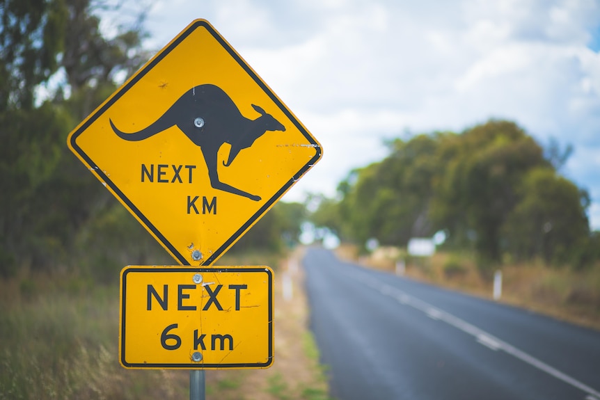A large yellow diamond-shaped sign showing a kangaroos for the next 6 km