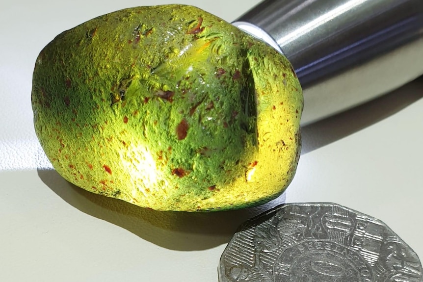 A large yellow rock next to a 50 cent coin. The rock is larger than the coin.