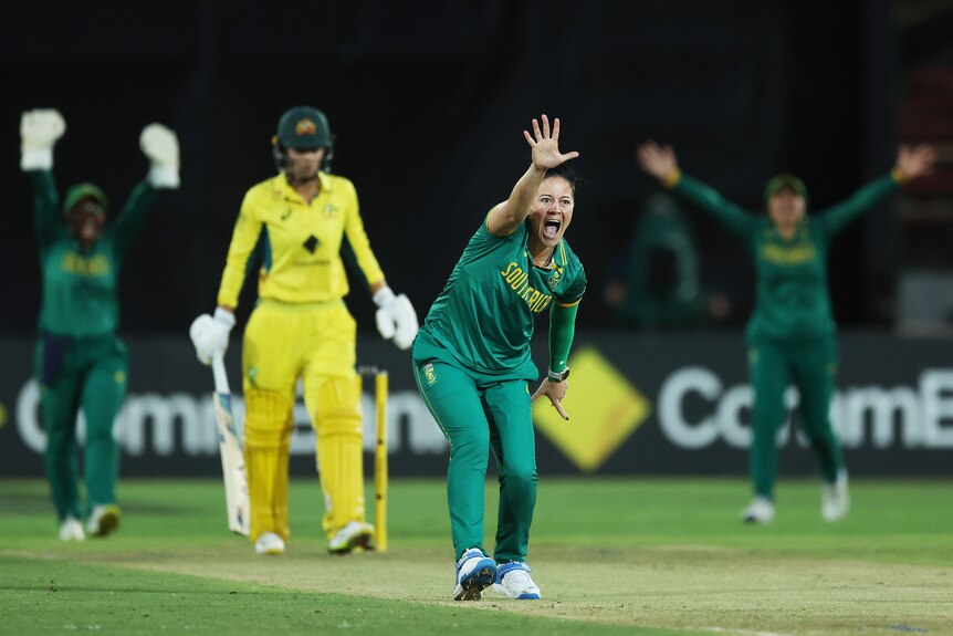 A South African cricketer appeals loudly with her hand raised with an Australian player at the striker's end in an ODI.