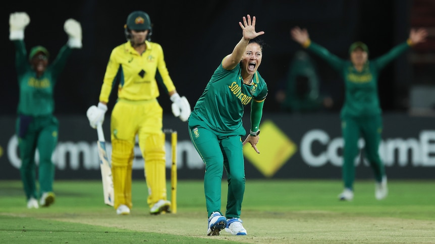 A South African cricketer appeals loudly with her hand raised with an Australian player at the striker's end in an ODI.