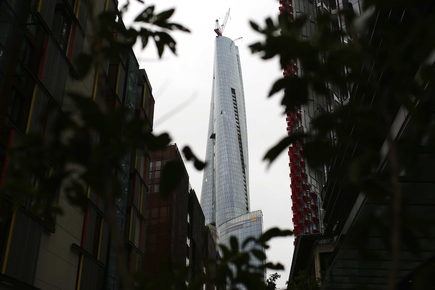 A building between dark grassy branches, towering into the sky