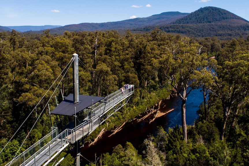 Tourists on the Tahune Airwalk.