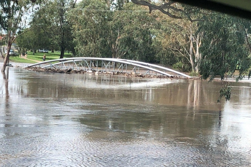 water runs near the top of a bridge in Warwick with debris against the bridge structure