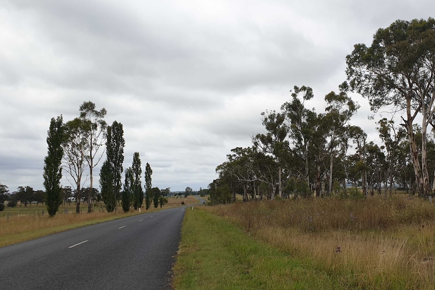Sealed road beside bushland