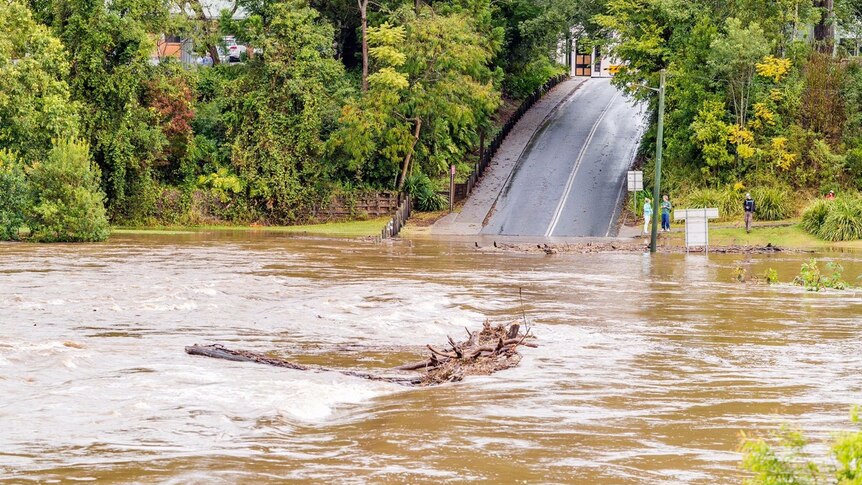 Bellinger River in Bellingen where Lavenders Bridge is under water and has cut half of the town off.