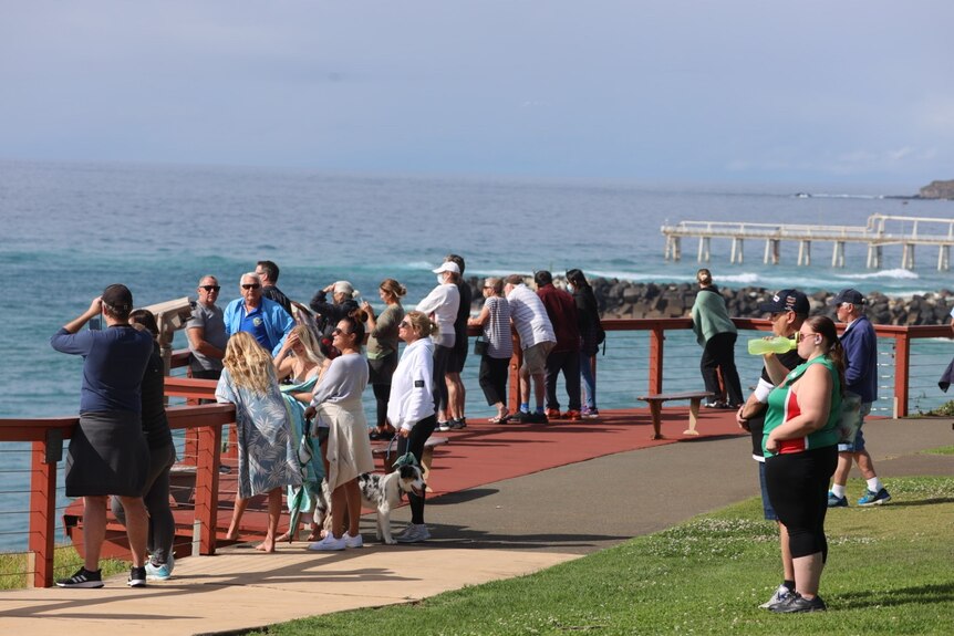 People gather on wooden walkway to watch out over blue ocean