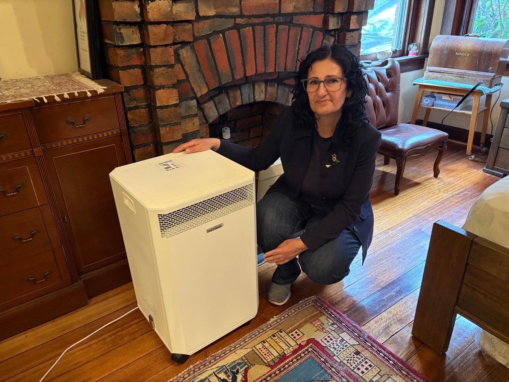 Clean-air advocates want the government to axe wood fire heaters