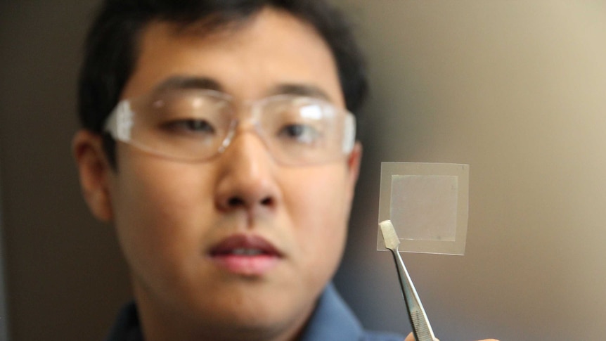A man looks at a translucent square of film