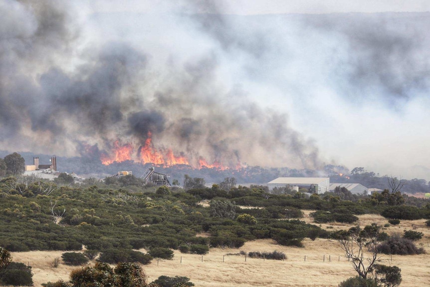 Port Lincoln bushfire Duck Ponds