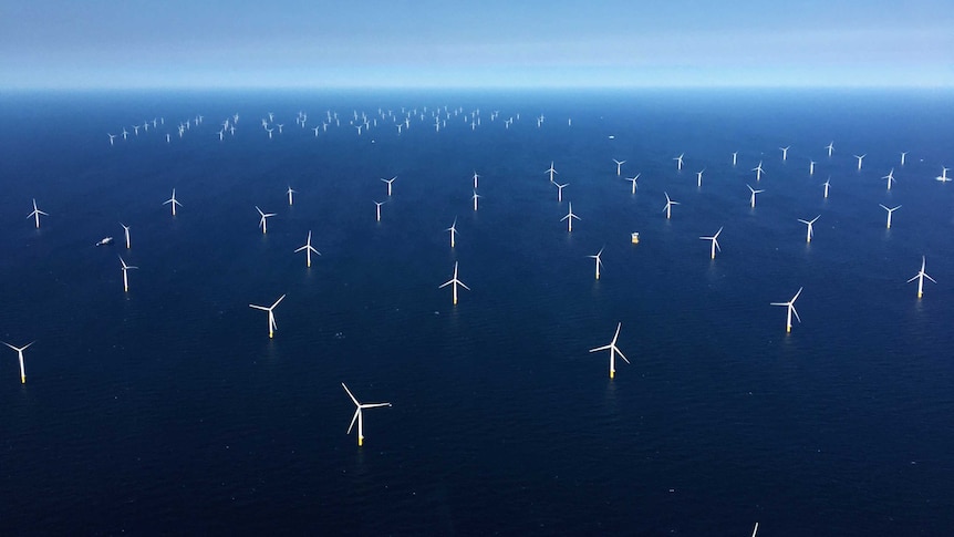 High angle view of wind turbines in the ocean.