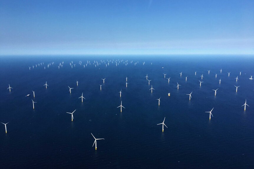 High angle view of wind turbines in the ocean.