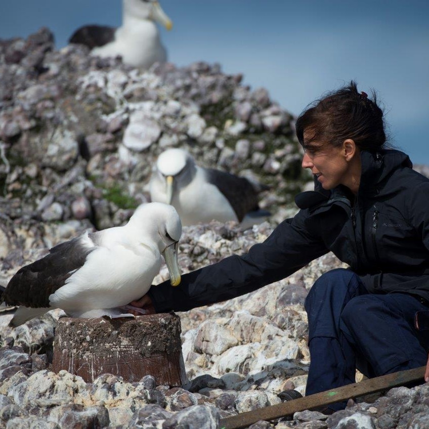 Wildlife biologist Dr Rachael Alderman inspects one of the artificial nests