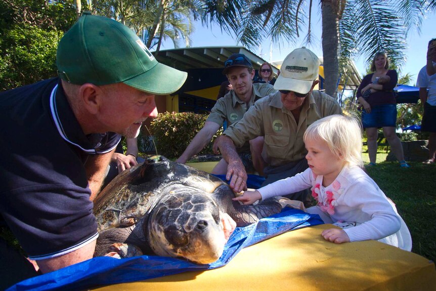 Quoin island rehab centre owner Bob McCosker (left) and Bob Irwin introduce Amanda to three-year-old Liena Bagshaw