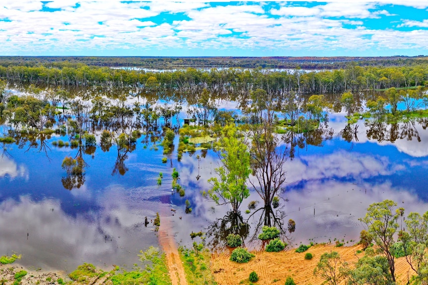 A photo of a wide floodplain flooding with water. 