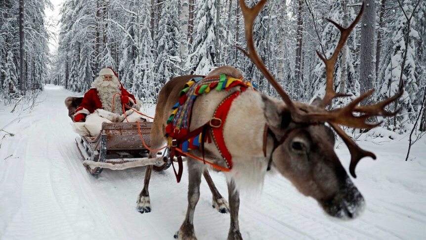 Santa Claus rides in his sleigh as he prepares for Christmas in the Arctic Circle near Rovaniemi.
