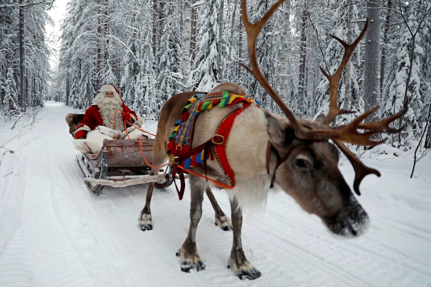 Santa Claus rides in his sleigh as he prepares for Christmas in the Arctic Circle near Rovaniemi.