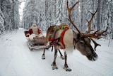 Santa Claus rides his sleigh, pulled by a reindeer.