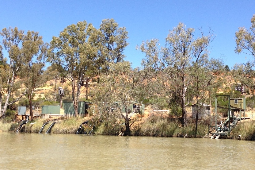 Private irrigation pumps along the River Murray in South Australia