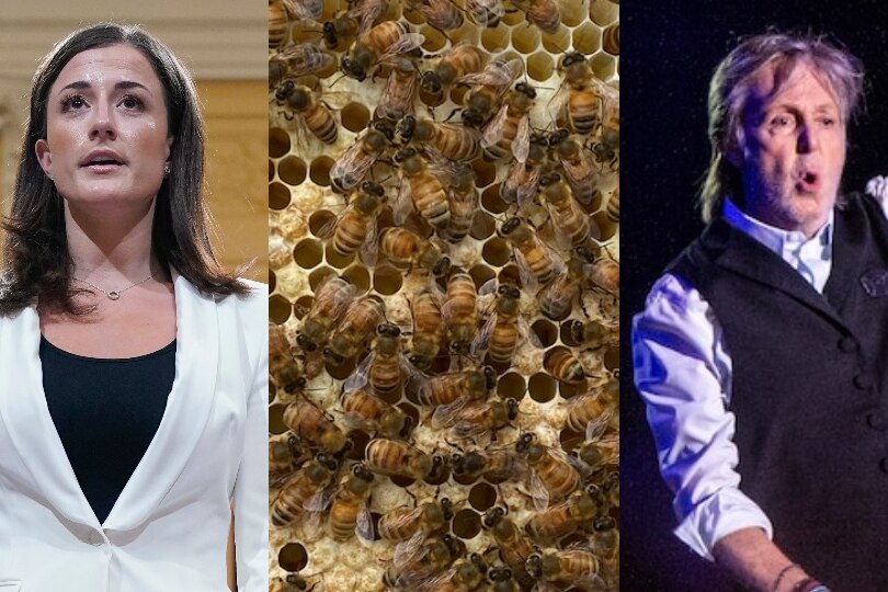 Former White House aide Cassidy Hutchinson wearing a suit jacket, bees on honeycomb and Paul McCartney waving on stage