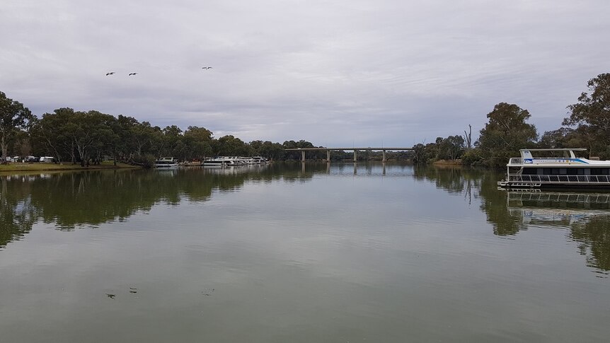 The Murray River at Mildura where people use the George Chaffey Bridge to cross between Victoria and New South Wales