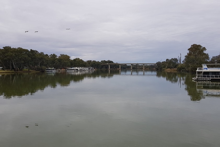 The Murray River at Mildura where people use the George Chaffey Bridge to cross between Victoria and New South Wales