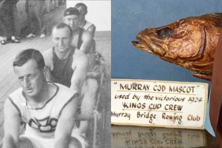 Composite image of the Cods rowing team (black-and-white) and their mascot: a small, stuffed Murray Cod (colour).